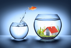 Fish jumping from empty water bowl to bowl with house in water